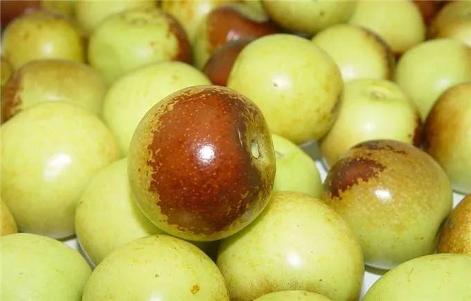 消息资讯|秋天，格力用心为您带来新鲜的味道