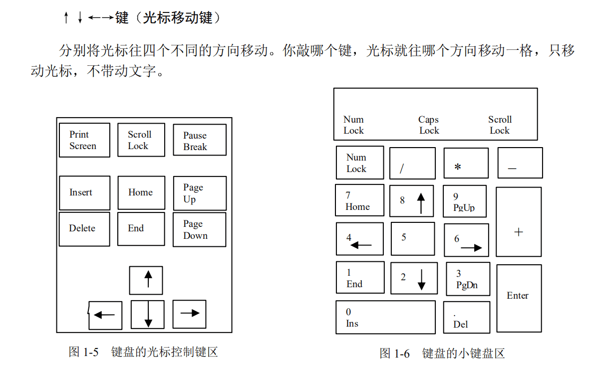 认识电脑输入设备键盘的构成,功能区,主键盘区,光标区,小键盘区的功能