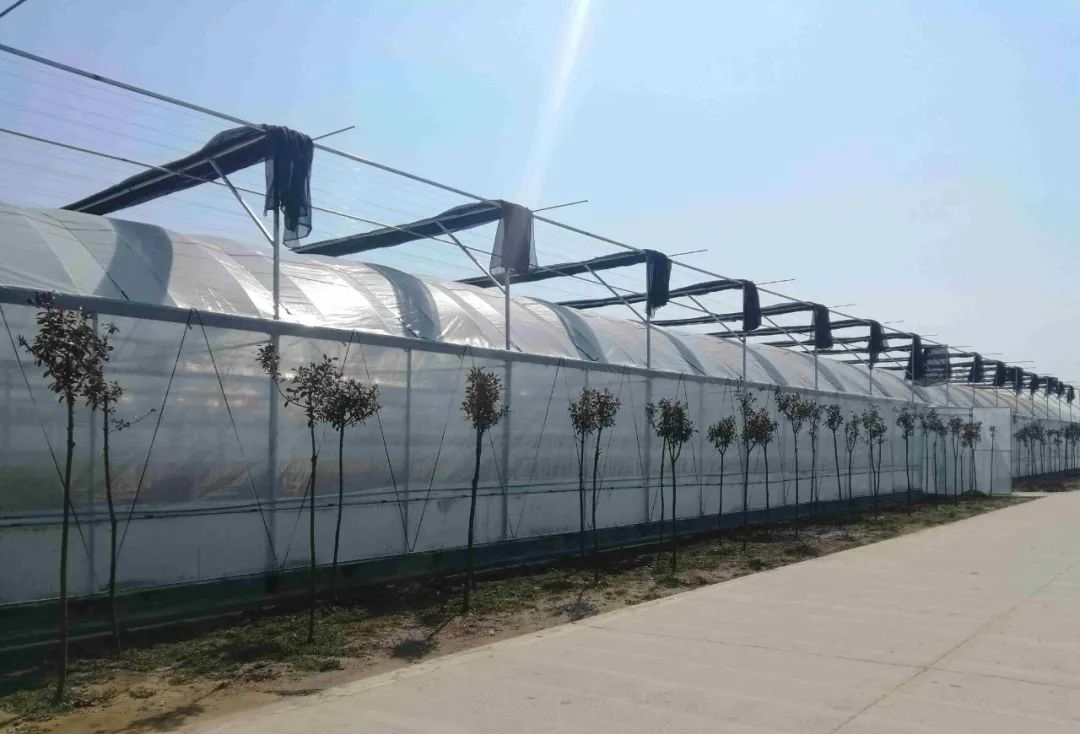 双层薄膜连栋温室大棚几种建造方法,温室大棚如何建造