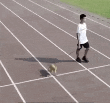 流浪狗|家长质疑学校里有流浪狗，校长却亲自为它们组织了一场演讲……