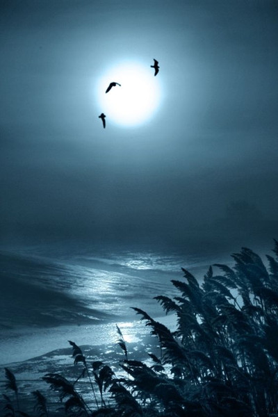 衣裳|耿汉东古风淮北之：黄桥剿匪记