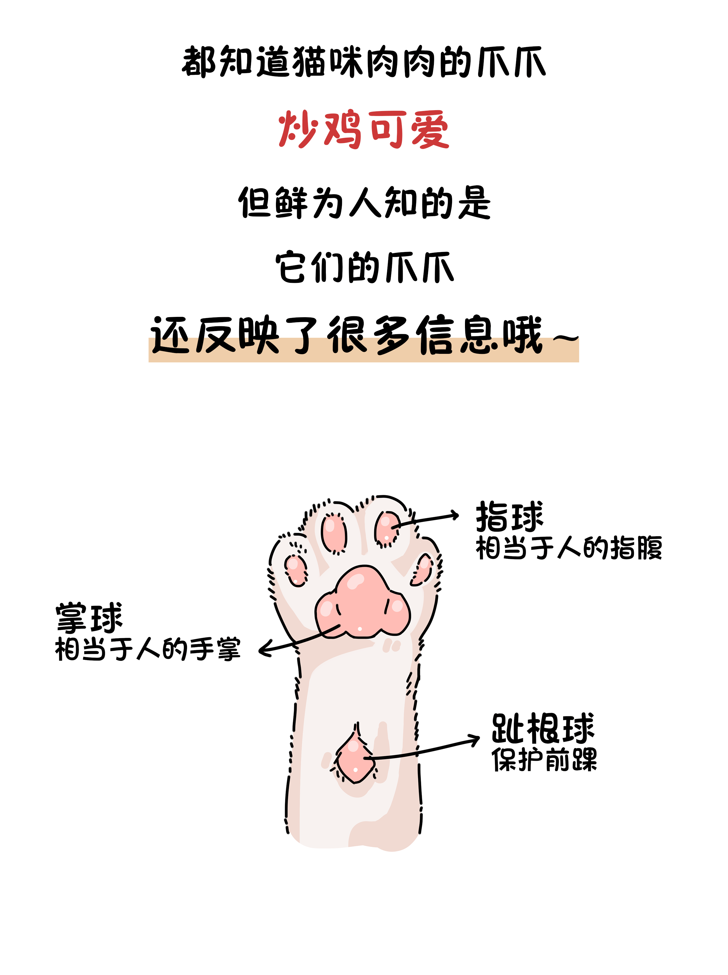 a5b834f7aa3d4fe484004f924ef0d0b3.png