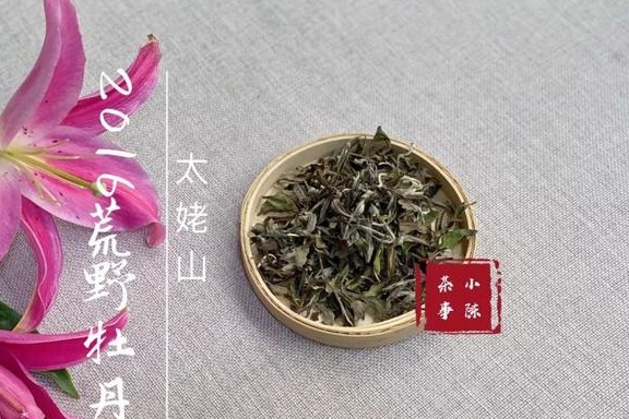 福鼎|喝茶是喝品质，还是盲从大师？无论白茶、岩茶、普洱茶、红茶