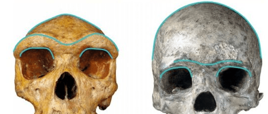 赵丽颖|鞠婧祎和赵丽颖竟然是同一个医生？