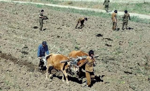 两弹一星到经济特区,朝鲜正快速模仿中国改开