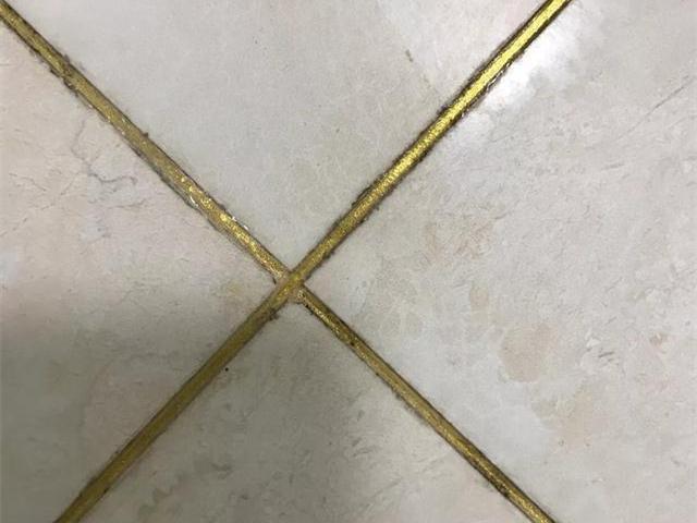 f619dd7047374b8e87947dbde8e5942d.jpeg