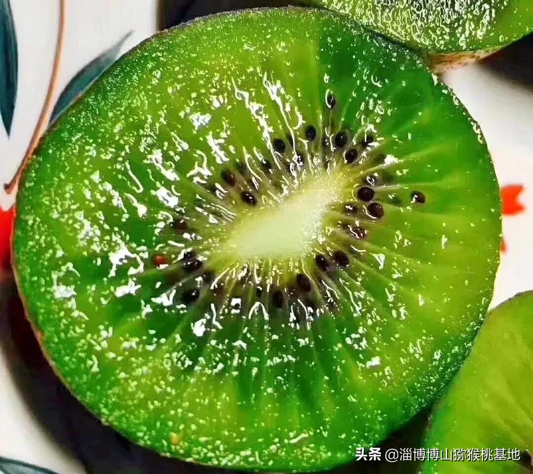 山东猕猴桃种植我是带动乡村脱贫致富的博山碧玉猕猴桃这是我的名片请