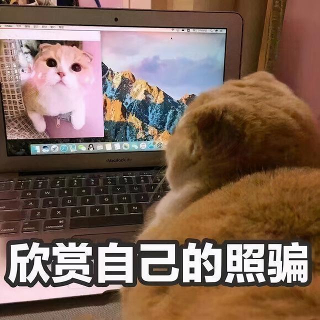 30条极致沙雕的自拍文案:逛朋友圈累了吗?停下来看看美女吧