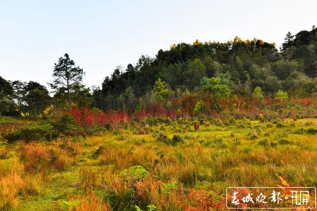 昌宁县有多少人口_云南昌宁县连续强降雨致山体滑坡 已导致1死3伤