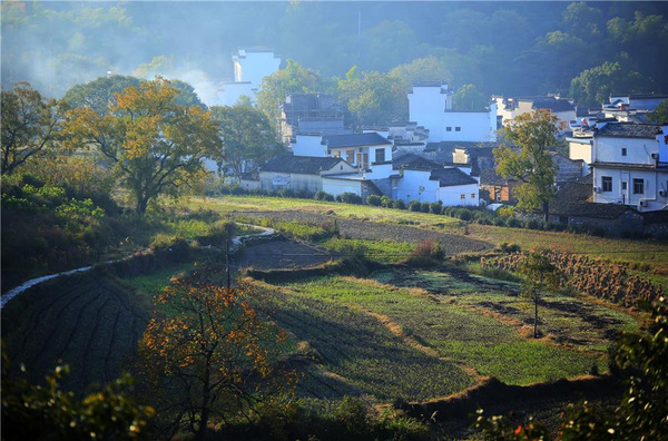 “中国画里乡村”在哪里？安徽这个地方一到秋天，令人如痴如醉_卢村