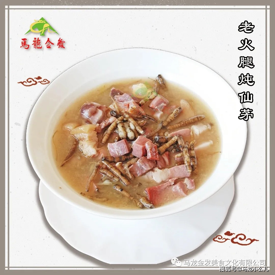 秋冬进补正当时,马龙金发药膳上市,快来收获这个季节的仪式感!