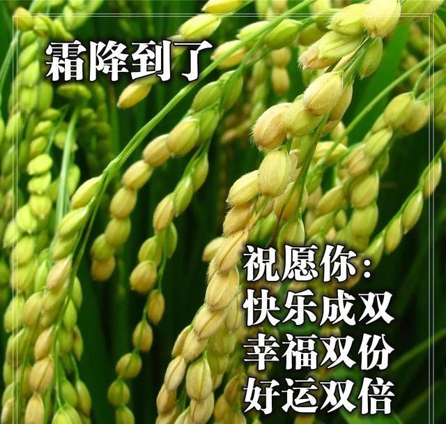 霜降早安心语祝福问候暖心 霜降问候朋友早上好的唯美