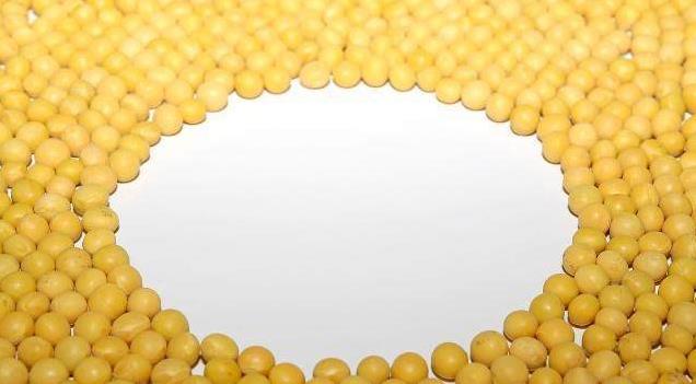 大豆美容的效果原理是什么_大豆是什么豆图片