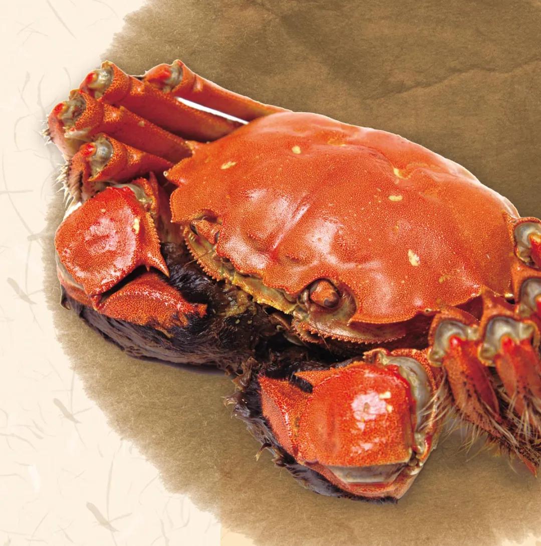 人生|不是阳澄湖蟹好,人生何必住苏州