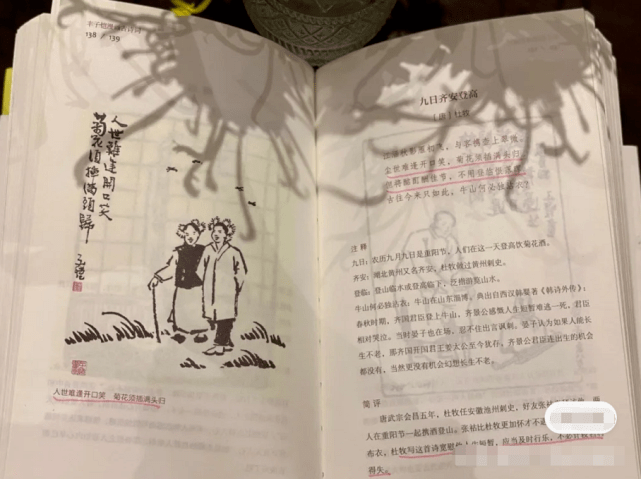 69岁张纪中过重阳节,被小娇妻插一头菊花