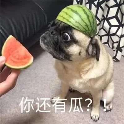 半藏|撞脸半藏森林美上天，却非要整成阿凡达，这位女明星何必呢？