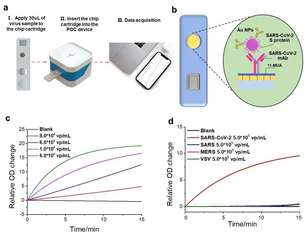 台积电 GDP_电锯人电次图片