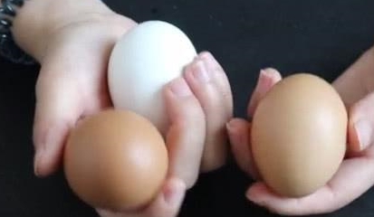 0ca3a07e89b14da5aada2306d52b775e.jpeg