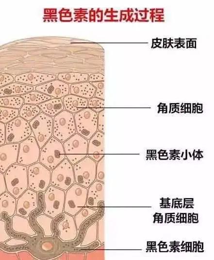赵薇|艳压热巴，惹赵薇翻白眼，她还要翻几次车？