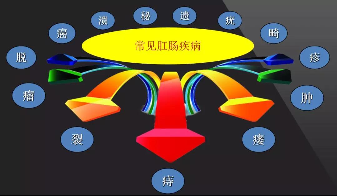 肛肠疾病知多少:一篇带您了解痔,瘘,裂,肿,脱,便秘!_肛门