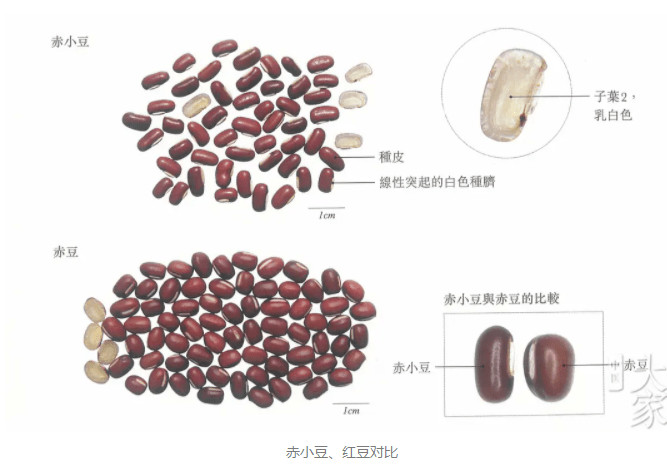 d8c50e53a31545adac8a205496df6dde.png