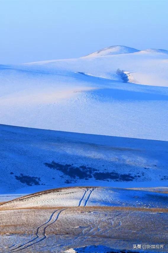 冬季呼伦贝尔——真正惊艳的北方_草原