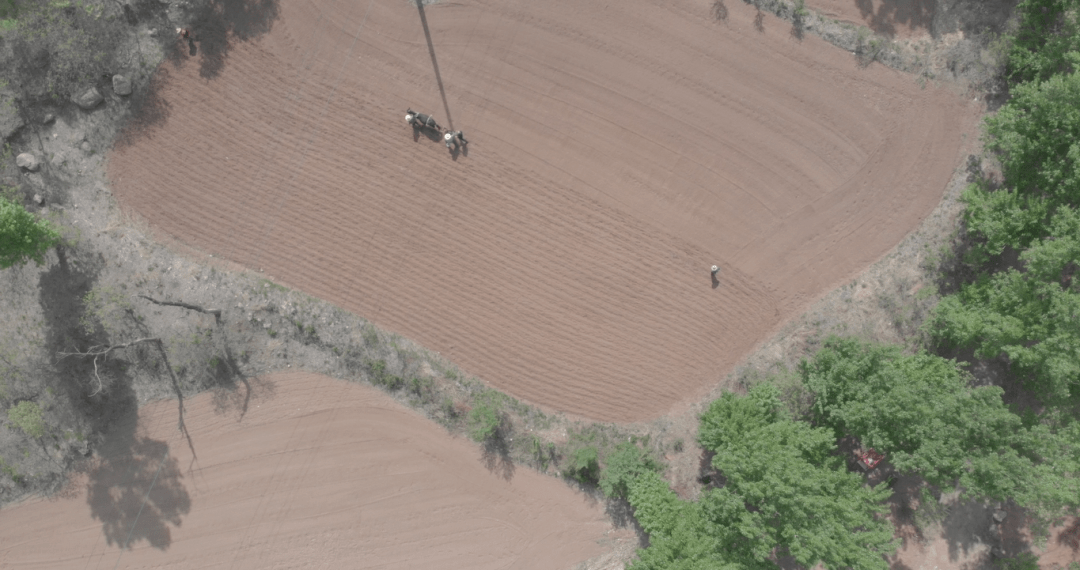 小米|150天修炼期只为这一碗米油浓稠小米粥延庆山地小米十月秋收