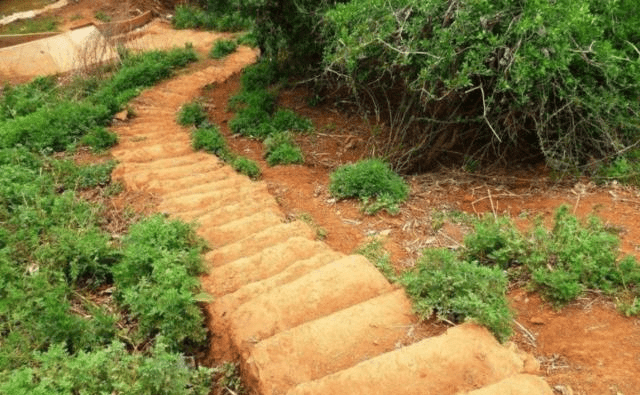 草什么门成语_草什么花什么成语