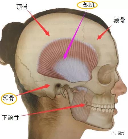 面部|韩国小姐冠军出炉，和王思聪前女友撞医生，才22岁就老了...