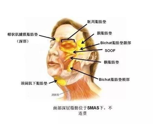 脂肪型|赵露思费劲巴拉才撕下大饼，秒被书粉喊退货，发布会生图确实让人出戏...