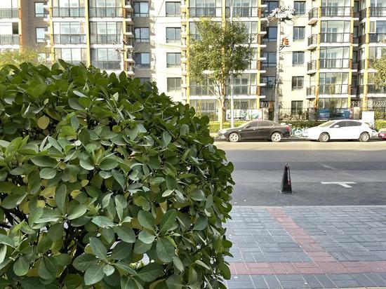 iPhone|iPhone 12体验：除了性价比和 5G还有什么？