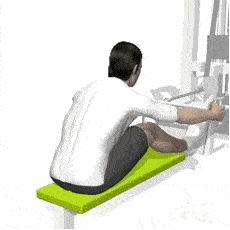 背有|女生多练背有什么好处？如何练出女神的蝴蝶背，提升气质？