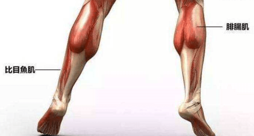 手术|杨幂关晓彤杠上了？撞衫尴尬就算了，还被网友喷做了直腿手术…