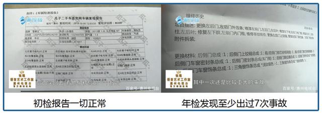 烧光50亿，1万港币卖身？站风口被吹上天的猪，