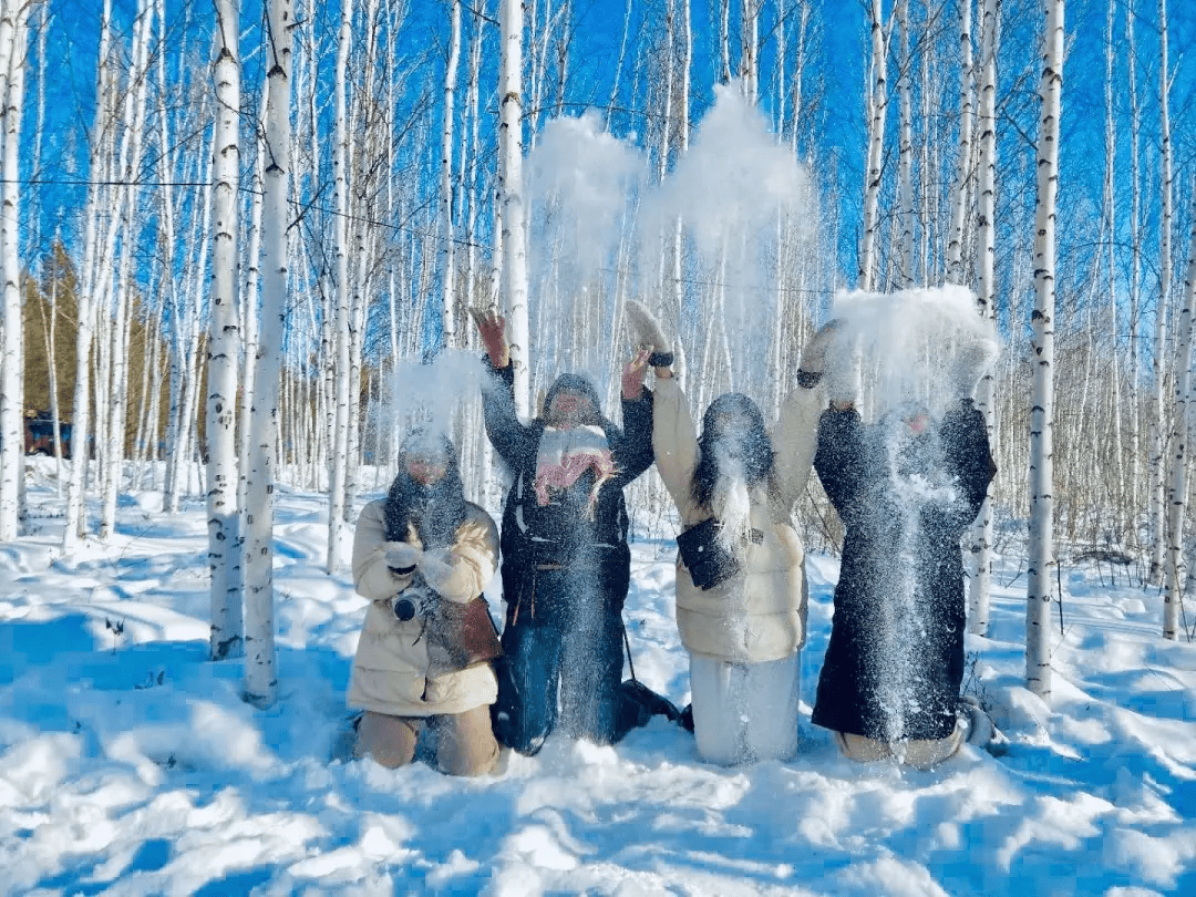 漠河下雪了,陪我去一趟,可好?