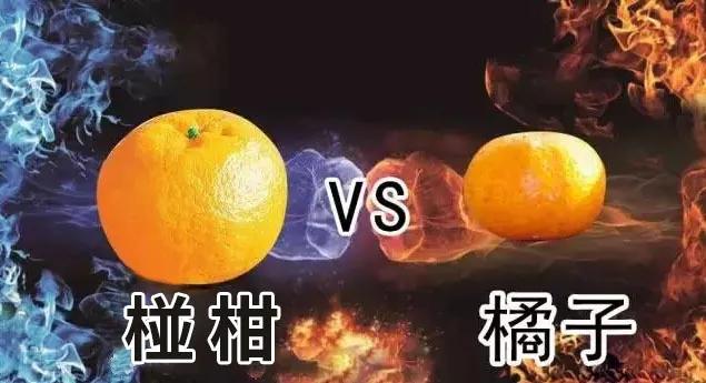 庞大的柑橘家族是个 "热衷杂交"的混乱家族 橘子,柚子,椪柑  柠檬