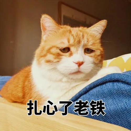 和老师抢屏幕、网课开视频洗澡……留学生的“