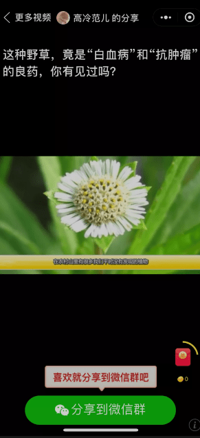 力哥分享:弄懂这3种低调赚钱的的小程序,你也