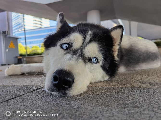 Mate|华为Mate40 Pro深度评测：全能实力问鼎年度旗舰