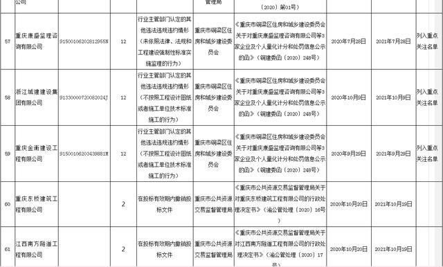 重庆市人口家庭信息平台_重庆市人口密度(2)