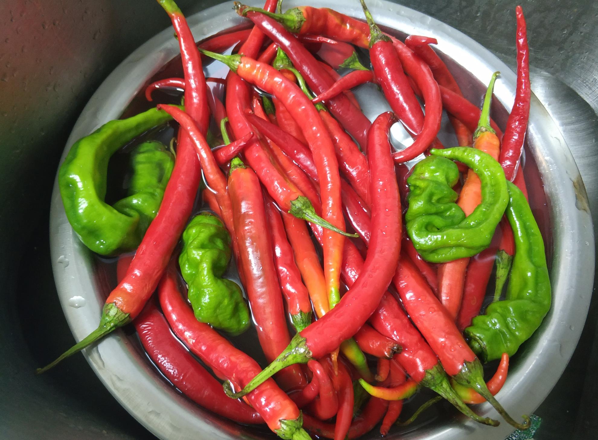 啤酒鸭做法最正宗的做法不放辣椒 82b8ba735640403da64ac54e64646b2a.jpeg