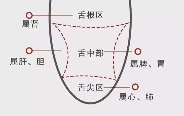舌赛尔人口_赛尔号图片(2)