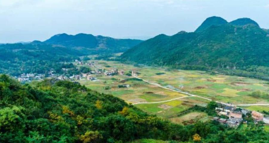 米粮人口_镇安县米粮镇图片(3)