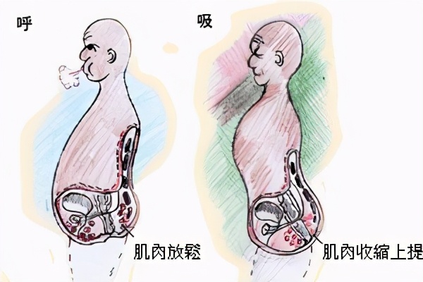 就是有意识地收紧自己肛门的括约肌,憋一会,然后再放松,反复训练