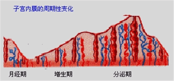 a7d1e7707daa4c338f41e7b9232de6b4.png