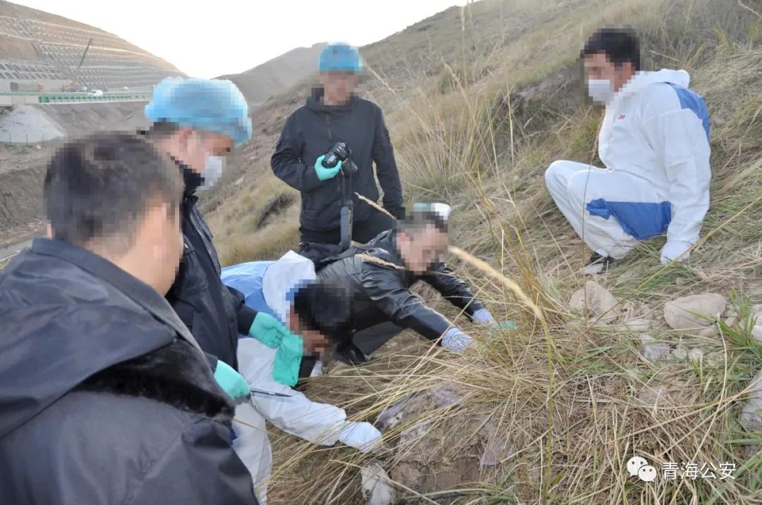 青海扫黑除恶第一大案"日月山埋尸案"侦破纪实