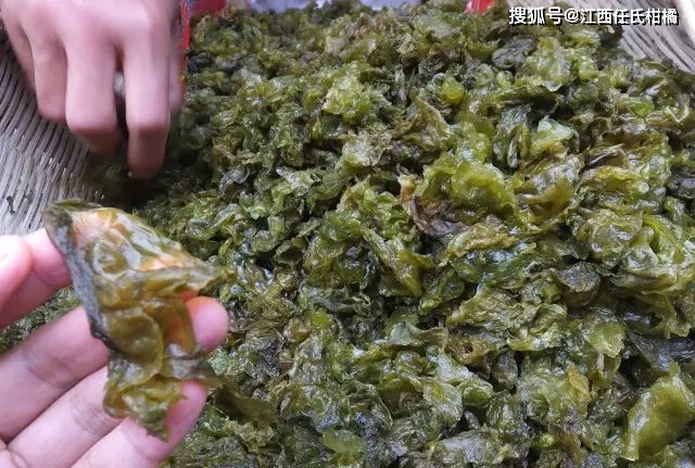 一声春雷一碗菜,口感堪比燕窝,人工种植成发家致富好帮手!_雷公