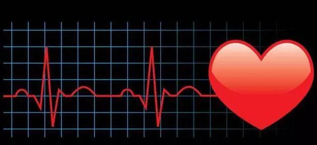 心率和脉搏是一回事吗