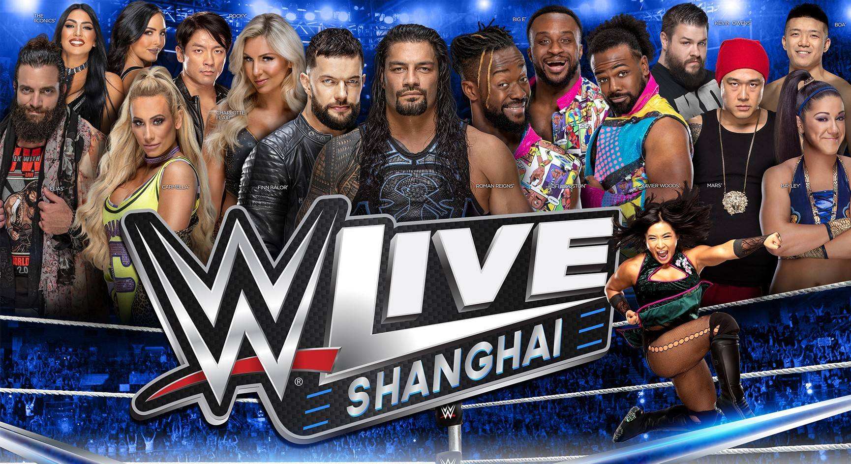 wwe摔角是假打为什么难度一点不逊色拍武打片