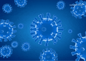 650c401251f84a2f80a9d62e39b220b7.gif